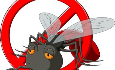 Extermination Montreal Max