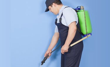 Pest Control Ajax Exterminator