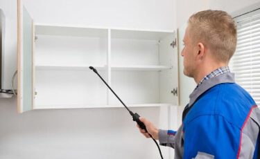 Pest Control Ajax Exterminator