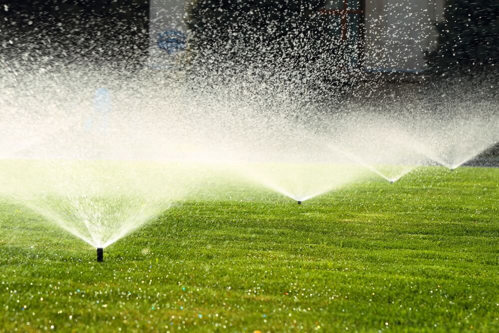 The Best Way to Get Your Sprinkler on This Summer