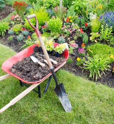 What Does a Landscape Design Cost?