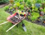 What Does a Landscape Design Cost?