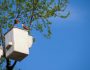 Will Homeowners Insurance Cover Tree Removal?