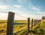 Farm Fence